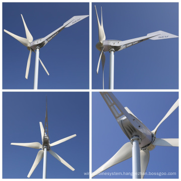 Sky Series 800W Wind Turbine for Homeuse